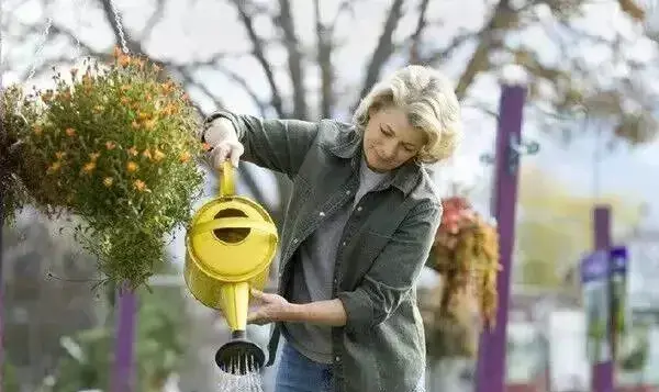 盆栽浇水 | 为盆栽植物浇水时需要注意些什么