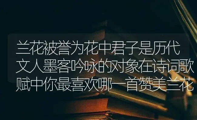 兰花被誉为花中君子是历代文人墨客吟咏的对象在诗词歌赋中你最喜欢哪一首赞美兰花的诗词？ | 绿植常识