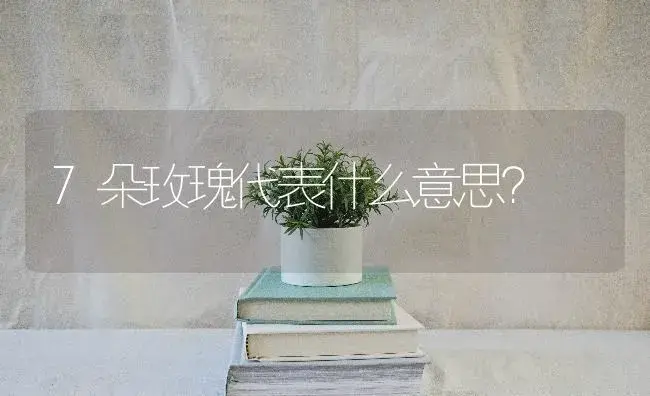 7朵玫瑰代表什么意思？ | 绿植常识