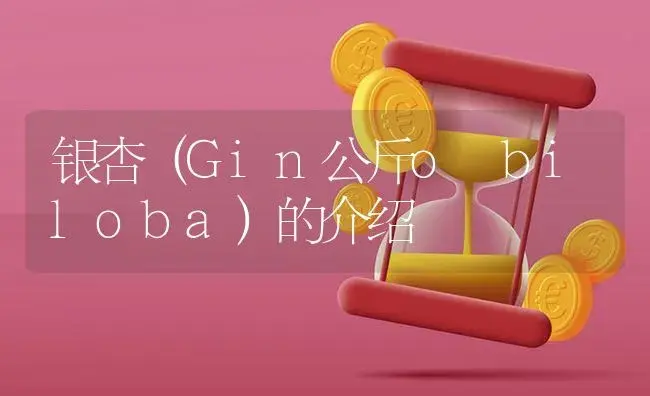 银杏（Gin公斤o biloba）的介绍 | 特种种植