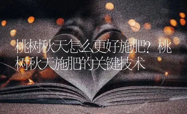 桃树秋天怎么更好施肥？桃树秋天施肥的关键技术 | 果木种植