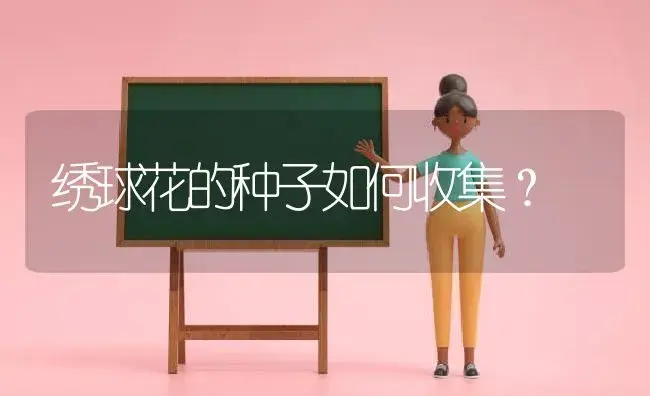 绣球花的种子如何收集？ | 绿植常识