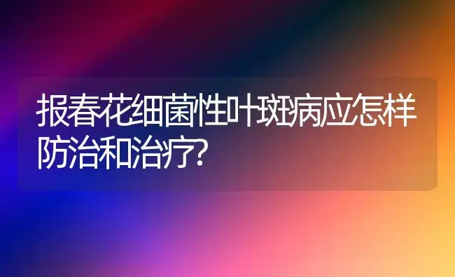 报春花细菌性叶斑病应怎样防治和治疗? | 家庭养花