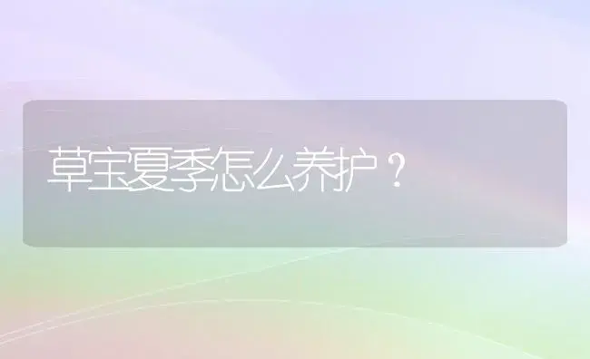 草宝夏季怎么养护？ | 多肉养殖