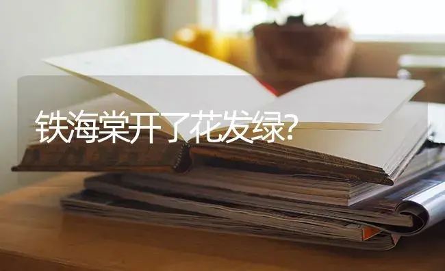 铁海棠开了花发绿？ | 绿植常识