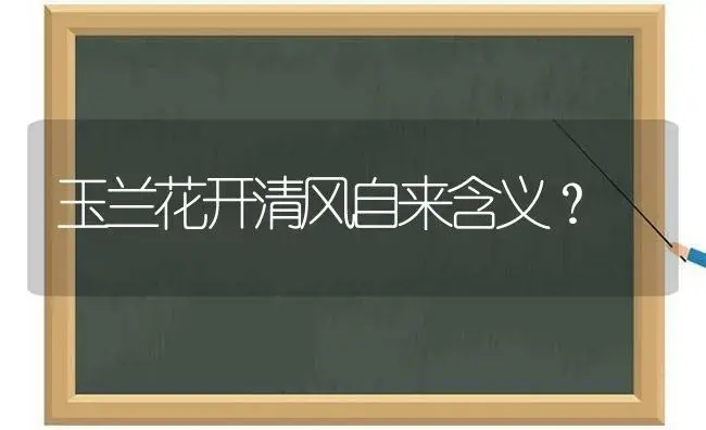 玉兰花开清风自来含义？ | 绿植常识