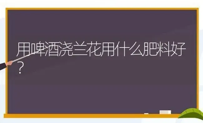 用啤酒浇兰花用什么肥料好？ | 绿植常识