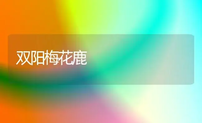 双阳梅花鹿 | 家庭养花