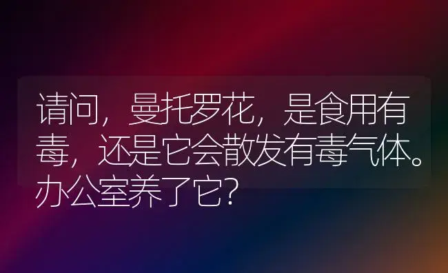 请问，曼托罗花，是食用有毒，还是它会散发有毒气体。办公室养了它？ | 绿植常识