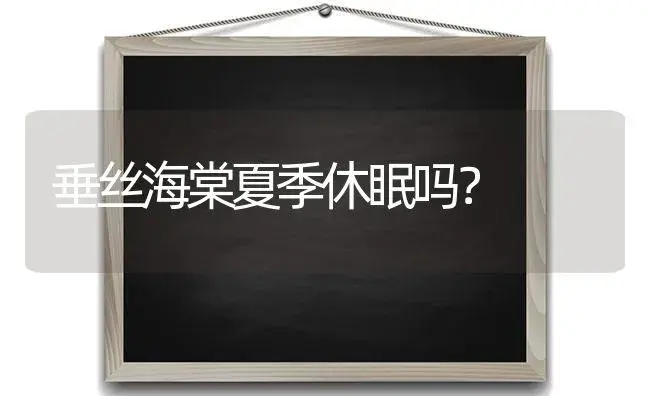 垂丝海棠夏季休眠吗？ | 绿植常识