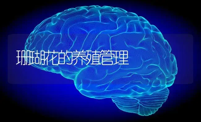 珊瑚花的养殖管理 | 特种种植