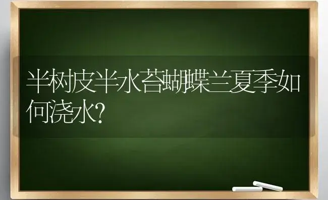 半树皮半水苔蝴蝶兰夏季如何浇水？ | 绿植常识