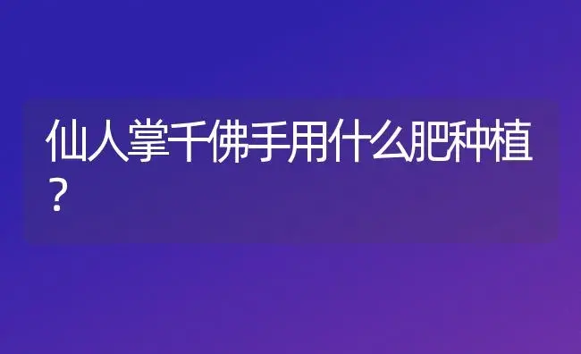 仙人掌千佛手用什么肥种植？ | 多肉养殖