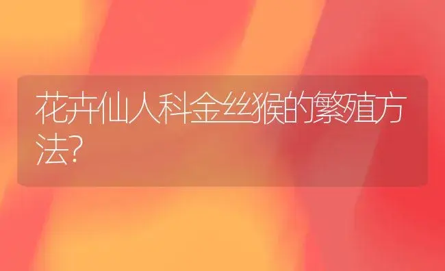 花卉仙人科金丝猴的繁殖方法？ | 多肉养殖