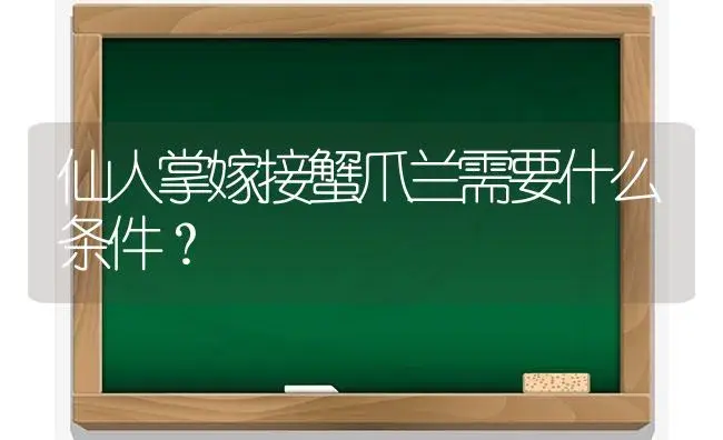 仙人掌嫁接蟹爪兰需要什么条件？ | 多肉养殖