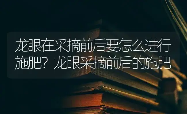 龙眼在采摘前后要怎么进行施肥？龙眼采摘前后的施肥 | 果木种植