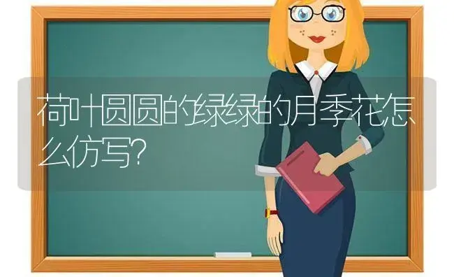 荷叶圆圆的绿绿的月季花怎么仿写？ | 绿植常识