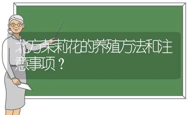 北方茉莉花的养殖方法和注意事项？ | 绿植常识