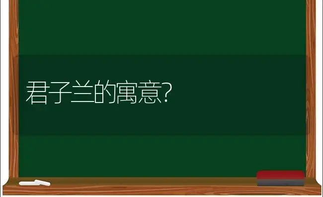 君子兰的寓意？ | 绿植常识