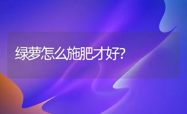 绿萝怎么施肥才好？ | 家庭养花