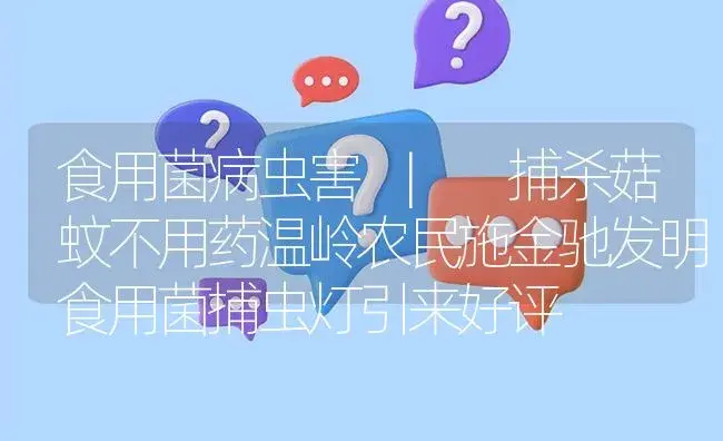 捕杀菇蚊不用药温岭农民施金驰发明食用菌捕虫灯引来好评 | 菌菇种植