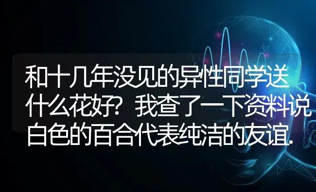 和十几年没见的异性同学送什么花好?我查了一下资料说白色的百合代表纯洁的友谊.但是我不知道要送多小朵好？ | 绿植常识