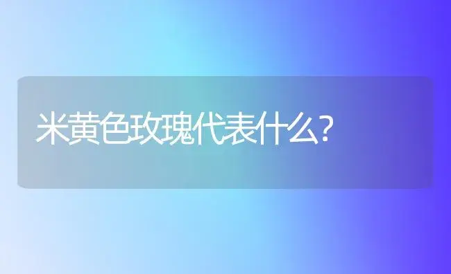 米黄色玫瑰代表什么？ | 绿植常识