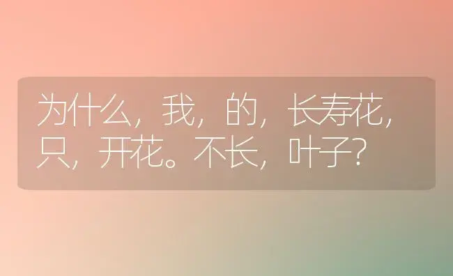 为什么,我,的,长寿花,只,开花。不长,叶子？ | 多肉养殖