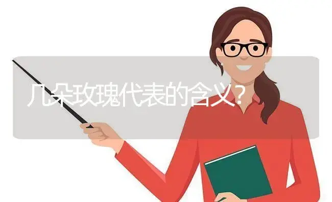 几朵玫瑰代表的含义？ | 绿植常识