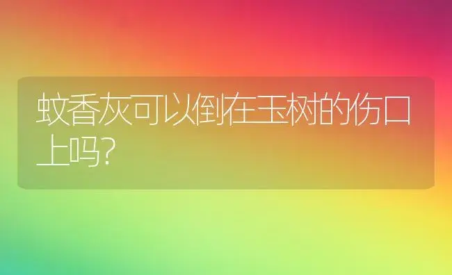 蚊香灰可以倒在玉树的伤口上吗？ | 多肉养殖