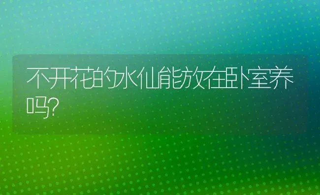 不开花的水仙能放在卧室养吗？ | 绿植常识