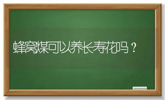 蜂窝煤可以养长寿花吗？ | 多肉养殖