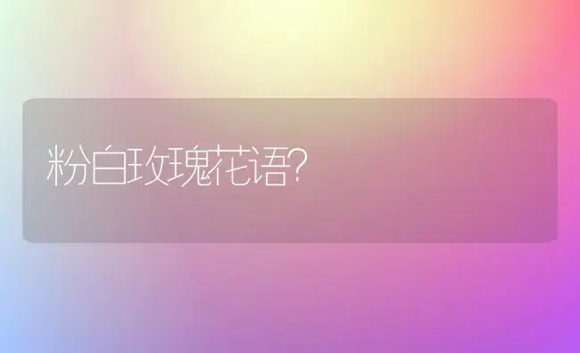 粉白玫瑰花语？ | 绿植常识