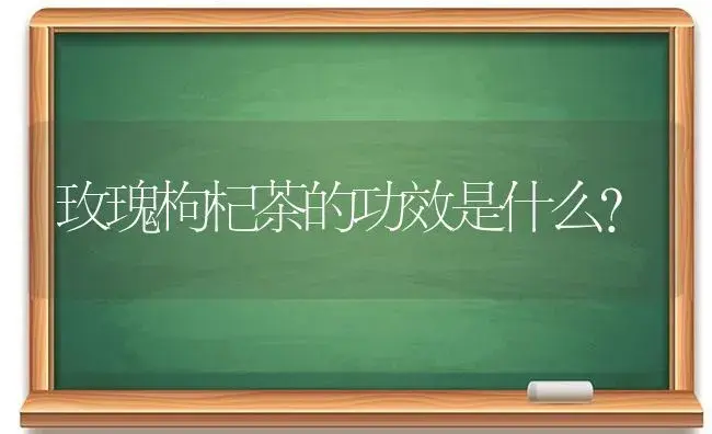 玫瑰枸杞茶的功效是什么？ | 绿植常识