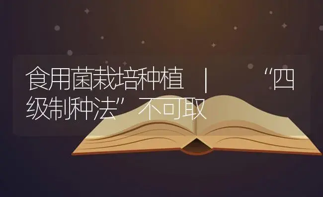 “四级制种法”不可取 | 菌菇种植