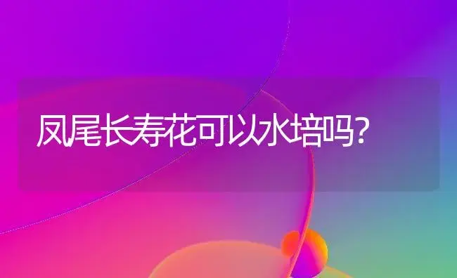 凤尾长寿花可以水培吗？ | 多肉养殖