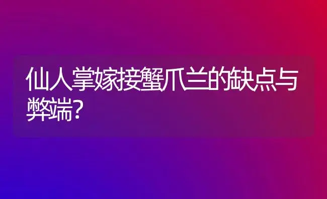 仙人掌嫁接蟹爪兰的缺点与弊端？ | 多肉养殖