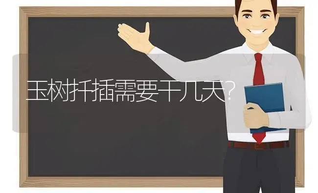 玉树扦插需要干几天？ | 多肉养殖