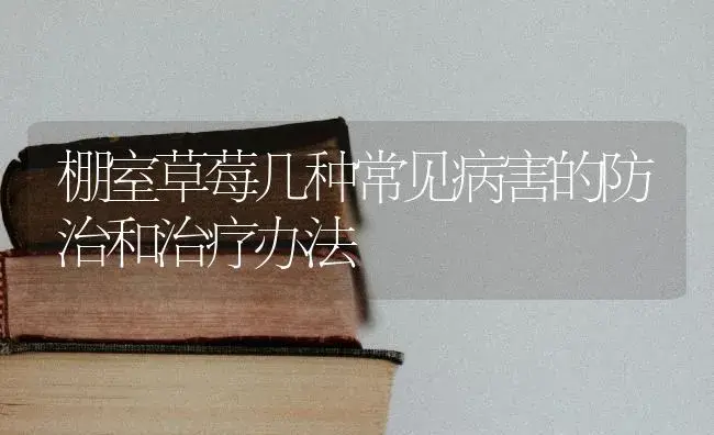 棚室草莓几种常见病害的防治和治疗办法 | 特种种植