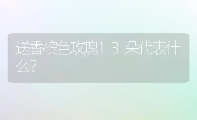 送香槟色玫瑰13朵代表什么？ | 绿植常识