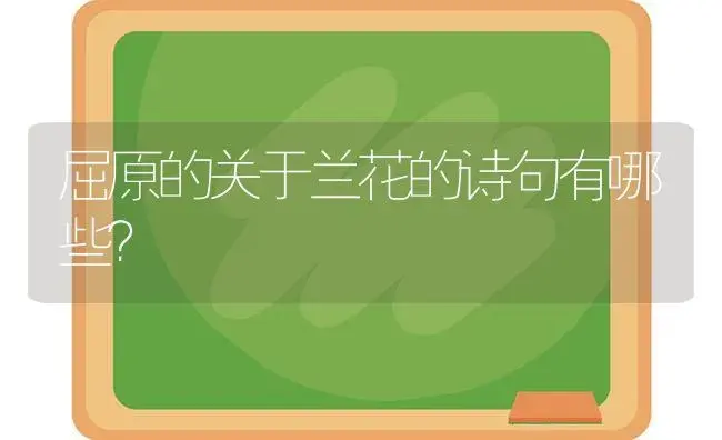 屈原的关于兰花的诗句有哪些？ | 绿植常识