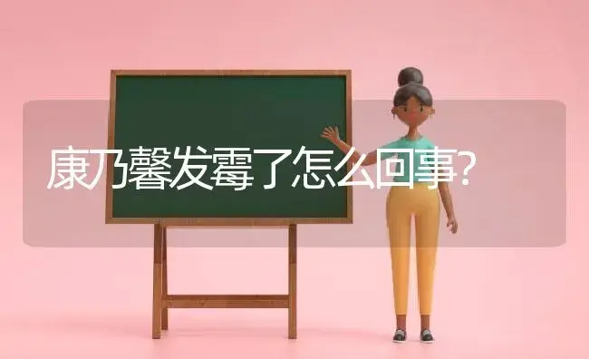 康乃馨发霉了怎么回事？ | 绿植常识