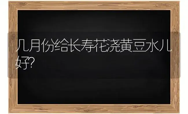 几月份给长寿花浇黄豆水儿好？ | 多肉养殖