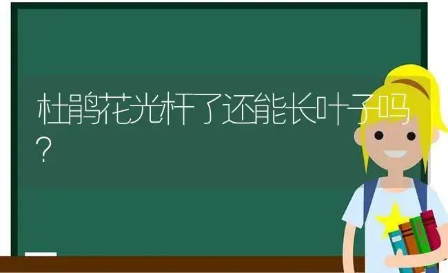 杜鹃花光杆了还能长叶子吗？ | 绿植常识