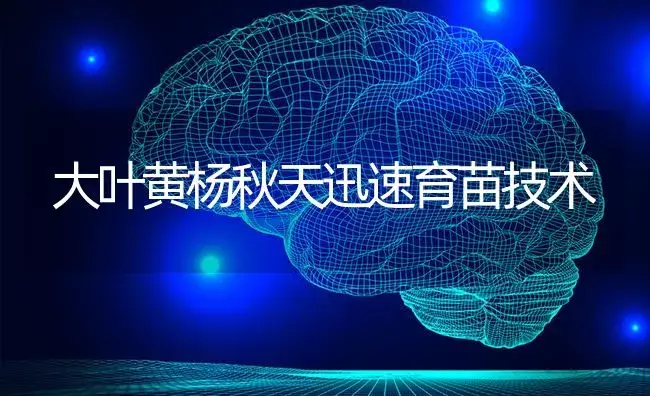 大叶黄杨秋天迅速育苗技术 | 特种种植