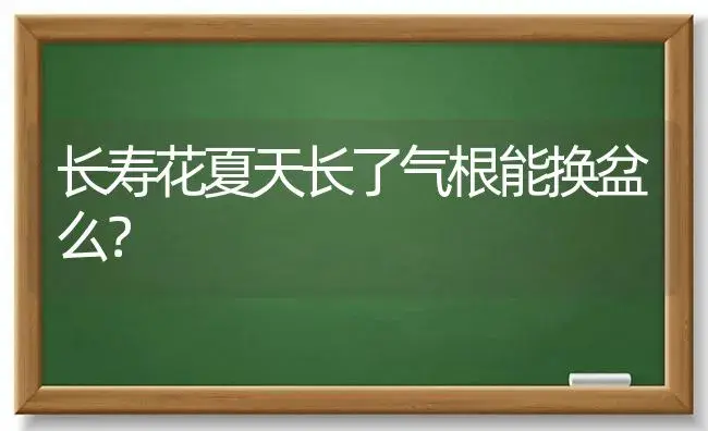长寿花夏天长了气根能换盆么？ | 多肉养殖