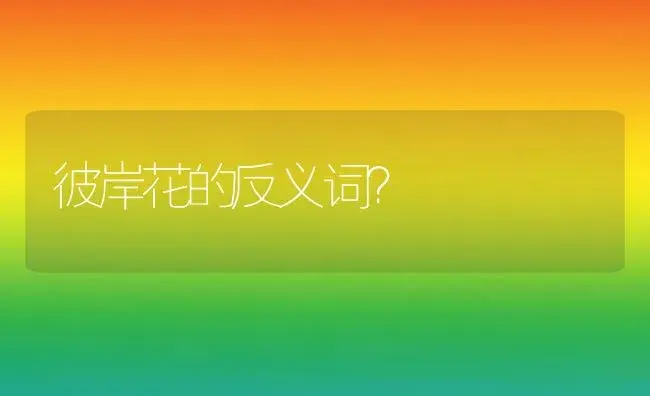 彼岸花的反义词？ | 绿植常识