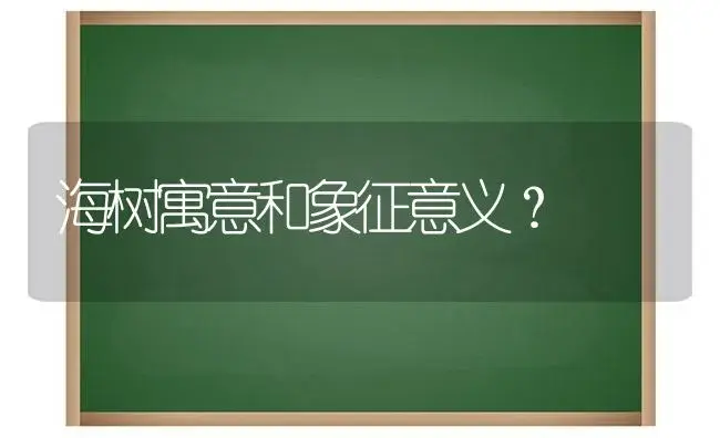 海树寓意和象征意义？ | 绿植常识