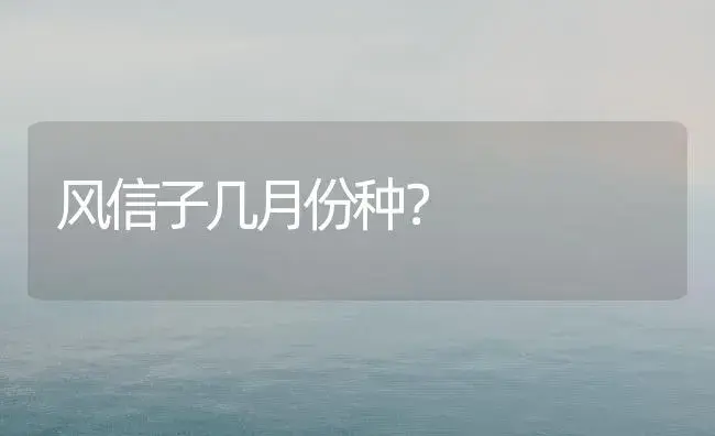 风信子几月份种？ | 绿植常识