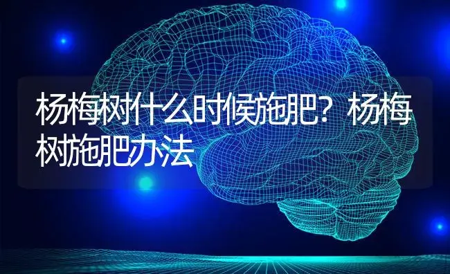 杨梅树什么时候施肥？杨梅树施肥办法 | 果木种植